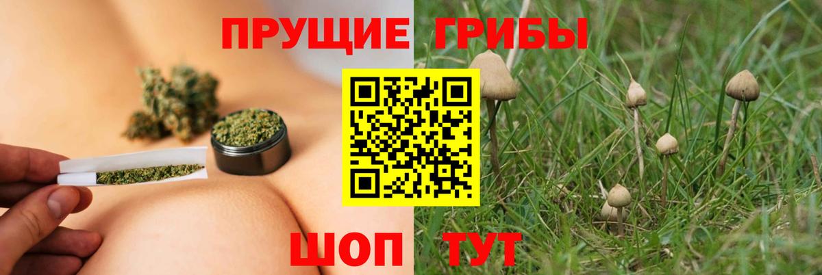 Псилоцибиновые грибы прущие грибы  Вход с VPN  Черемхово 